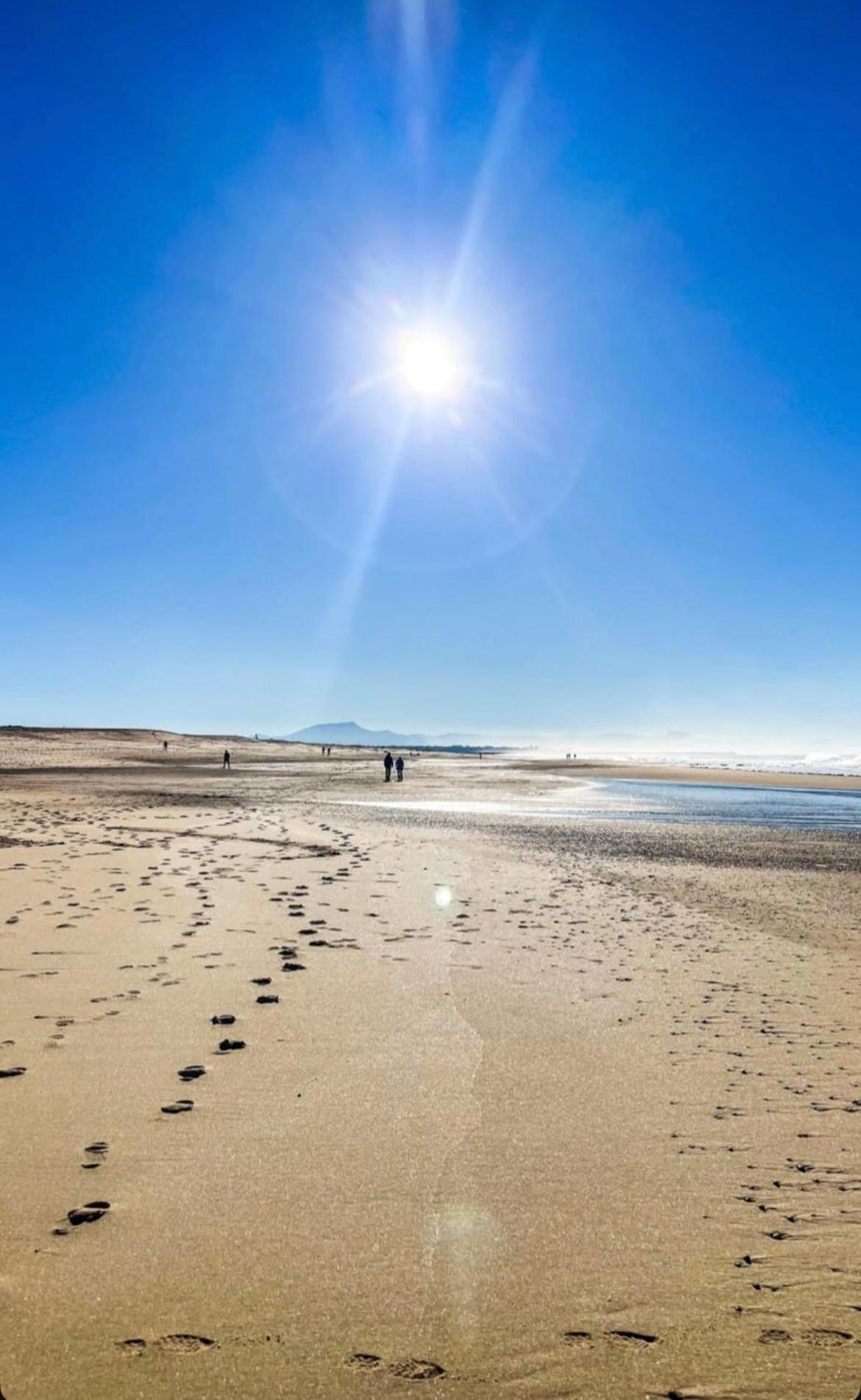 T3 Labenne Capacite 6 Couchages 10Min De La Plage エクステリア 写真