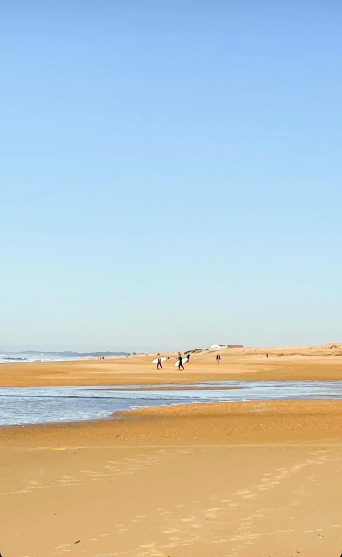 T3 Labenne Capacite 6 Couchages 10Min De La Plage エクステリア 写真
